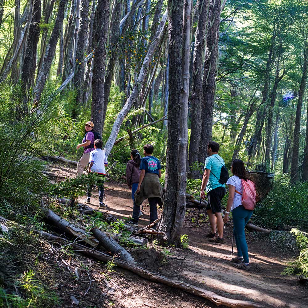 trekking-termas-chillán-6