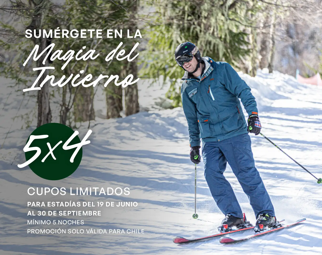 1Mesa de trabajo 3- copia