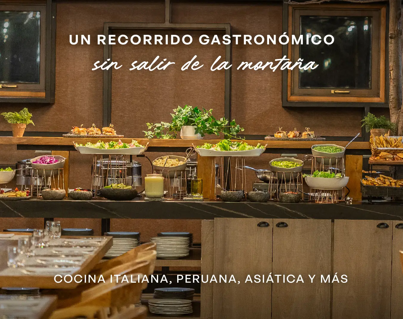 1Mesa_de_trabajo_1_copia_9 copia